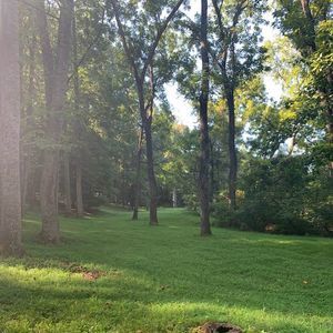 Meet your Posher, Freda